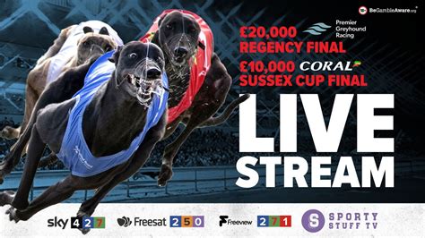 sky bet greyhounds|racing post greyhounds tv live.